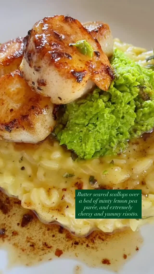 When you find good scallops, they beg you to make them like this: #caminecooks #blingcuisine #ifeellikecooking #plated